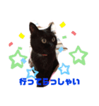 黒猫ゴマ（個別スタンプ：21）