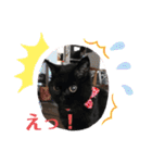 黒猫ゴマ（個別スタンプ：22）