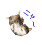 福ちゃんの挨拶⭐︎＃1（個別スタンプ：14）