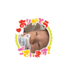 夏菜ちゃん（個別スタンプ：3）