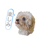とわとななの気持ち2（個別スタンプ：3）