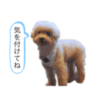 とわとななの気持ち2（個別スタンプ：5）