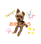 ぴののきもち（個別スタンプ：5）