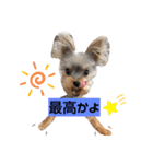 ぴののきもち（個別スタンプ：8）