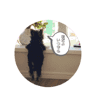 ぴののきもち（個別スタンプ：12）