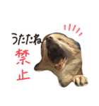愛しのベリー（個別スタンプ：8）