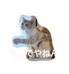 るったん - Luana（個別スタンプ：6）