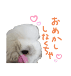 うさぎのはな  日常スタンプ（個別スタンプ：14）