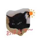 ま～（個別スタンプ：1）