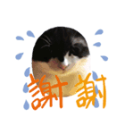 ま～（個別スタンプ：5）