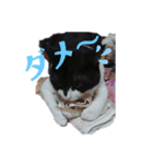 ま～（個別スタンプ：8）