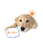 Shellyの日常（個別スタンプ：3）