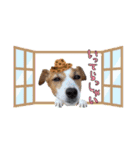 ♡みかんの日常♡（個別スタンプ：7）
