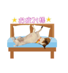 ♡みかんの日常♡（個別スタンプ：11）