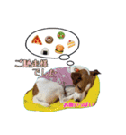 ♡みかんの日常♡（個別スタンプ：16）