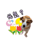♡みかんの日常♡（個別スタンプ：23）
