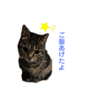 ボギーとしょうきちともも（個別スタンプ：7）