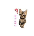 ボギーとしょうきちともも（個別スタンプ：10）