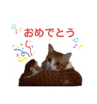 ボギーとしょうきちともも（個別スタンプ：14）
