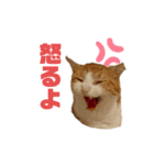 ボギーとしょうきちともも（個別スタンプ：15）