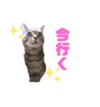 ボギーとしょうきちともも（個別スタンプ：16）