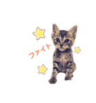 ボギーとしょうきちともも（個別スタンプ：18）