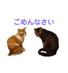 ボギーとしょうきちともも（個別スタンプ：20）