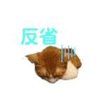 ボギーとしょうきちともも（個別スタンプ：21）