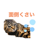 ボギーとしょうきちともも（個別スタンプ：23）