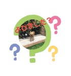 ヨーキーちゃみさん（個別スタンプ：2）