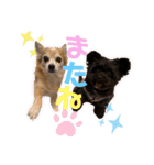 ラム＆ボブpart2（個別スタンプ：1）