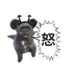 ラム＆ボブpart2（個別スタンプ：16）