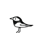 ぷりっぷり〜のその辺の野鳥（個別スタンプ：5）