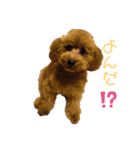 ぱるくん！（個別スタンプ：2）