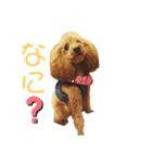 ぱるくん！（個別スタンプ：3）