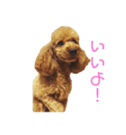 ぱるくん！（個別スタンプ：10）
