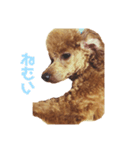 ぱるくん！（個別スタンプ：17）