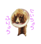 ぱるくん！（個別スタンプ：20）