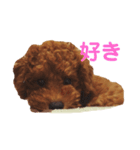 ぱるくん！（個別スタンプ：22）