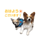 コジコジ★スタンプ！（個別スタンプ：9）