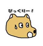 かおいぬ（個別スタンプ：1）