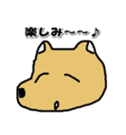 かおいぬ（個別スタンプ：8）