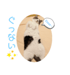 Kina＆Moco（個別スタンプ：3）