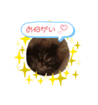 Kina＆Moco（個別スタンプ：8）