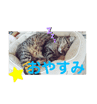 たなかりんちゃん（個別スタンプ：3）