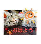 たなかりんちゃん（個別スタンプ：5）
