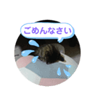 たなかりんちゃん（個別スタンプ：6）