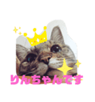 たなかりんちゃん（個別スタンプ：7）