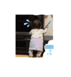 空ちゃん スタンプ ☆彡.。2（個別スタンプ：38）