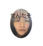 はしもとせんだよ（個別スタンプ：7）
